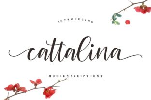 Bring Your Handmade Creations to Life with Cattalina Font