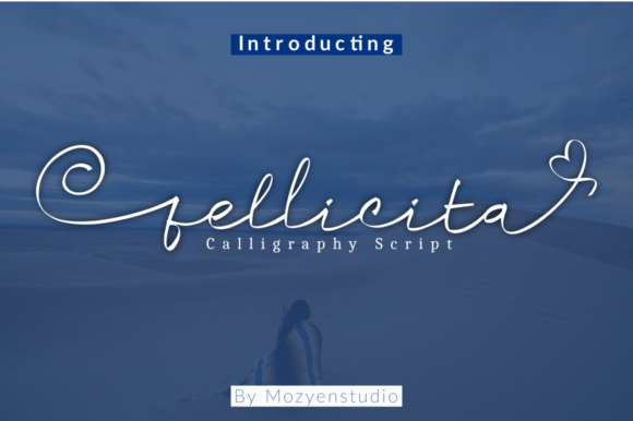 Fellicita: A Charming Script Font for Engaging Campaigns