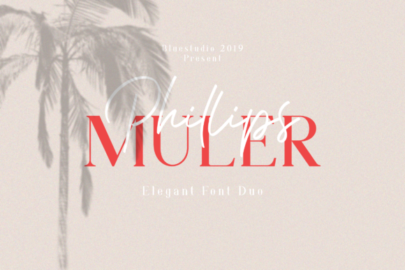 Phillips Muler: A Versatile Script for Creative Projects