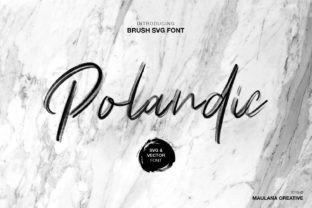 Polandic: A Handcrafted Font for Unique Web Design