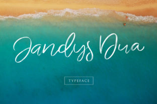 Transform Your Brand with Jandys: A Delicate Script Font